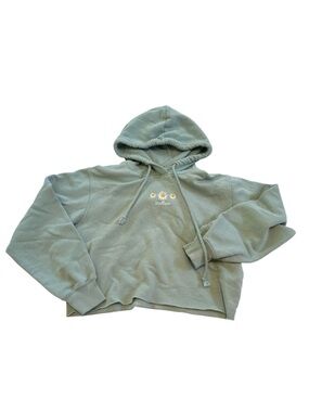 Hollister Light Sage Pullover Hoodie